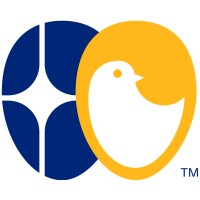 Company brand